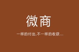 怎么做微商才能赚钱（微商的核心本质是什么）
